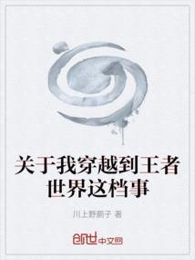关于我穿越到王者大陆