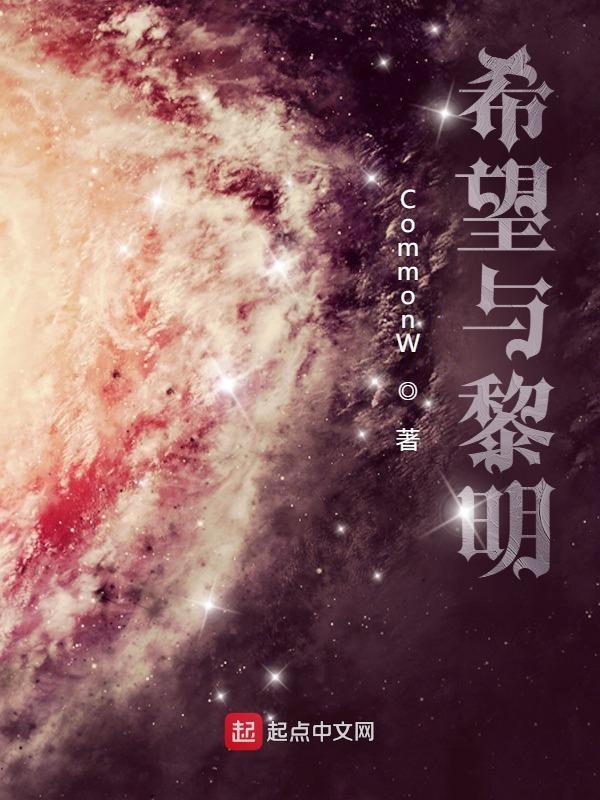 希望黎明战机