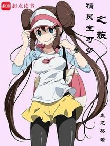 精灵宝可梦之旅途中文版