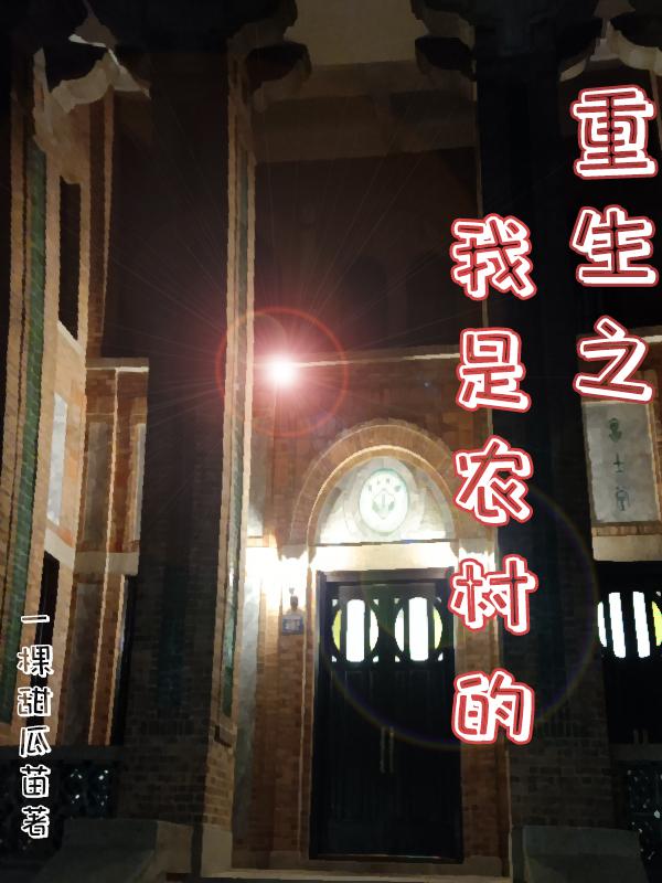 重生成为农村媳妇