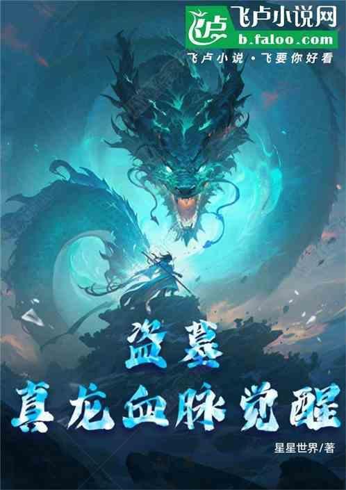 血龙盗墓