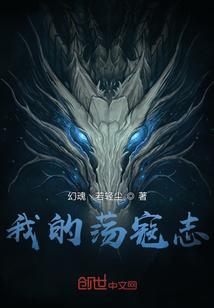 荡寇志简介