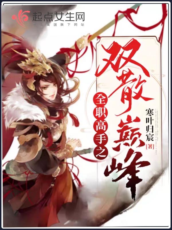 全职高手之双胞胎