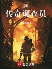 传奇案件调查