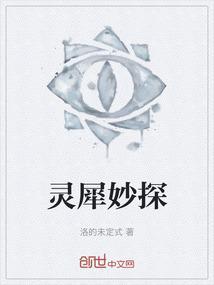 灵犀妙探和首席顾问背景故事
