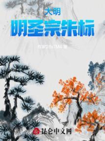 大明圣皇朱由检txt