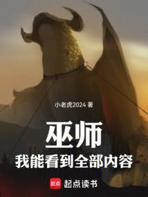 巫师我能看到全部内容
