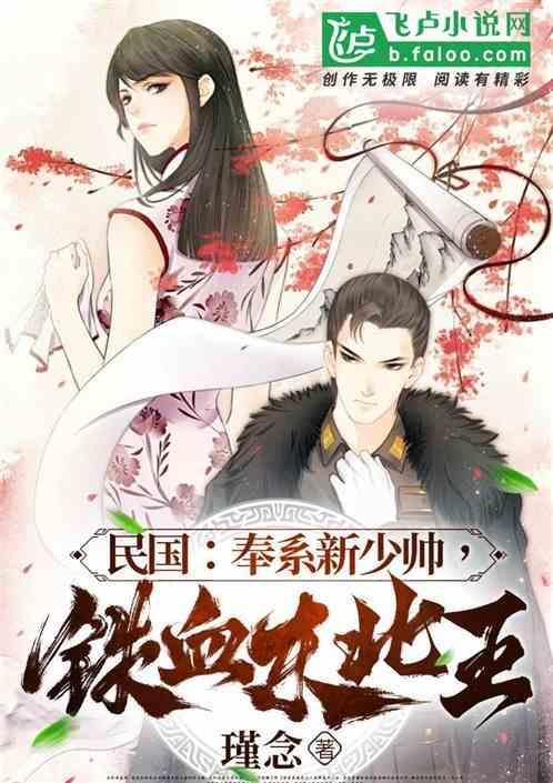 铁血东北王离线阅读