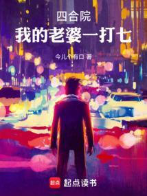 四合院我的老婆一打七免费