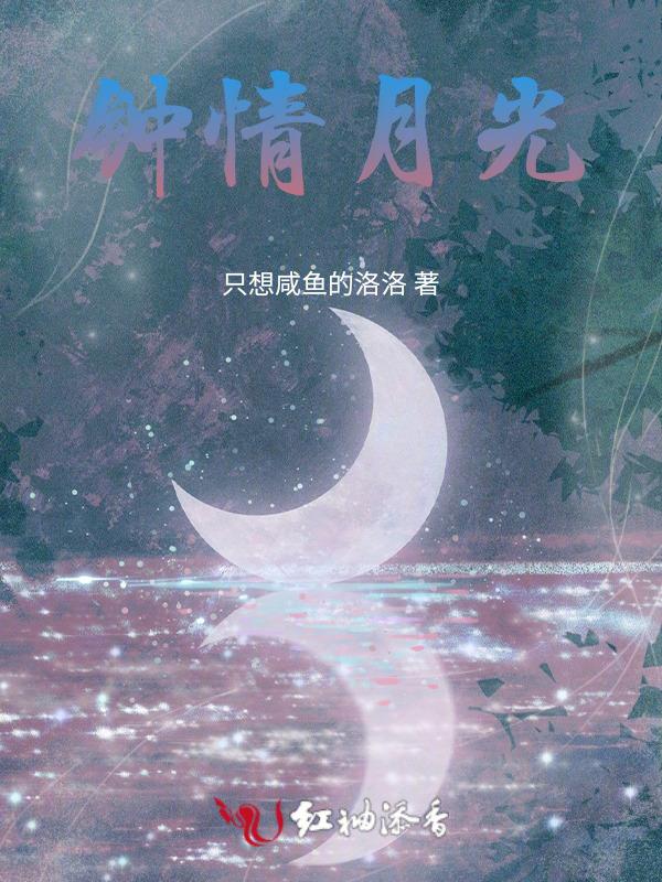 钟情免费阅读