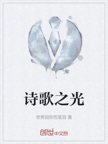 诗歌之光作文
