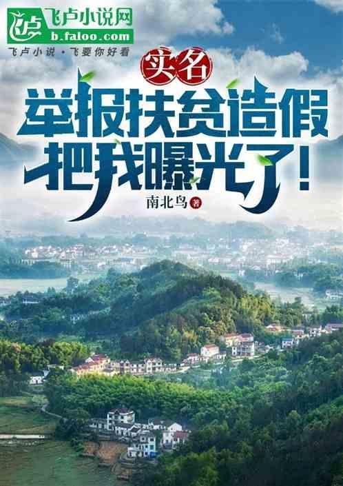 虚假扶贫举报