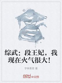 段皇爷百度百科