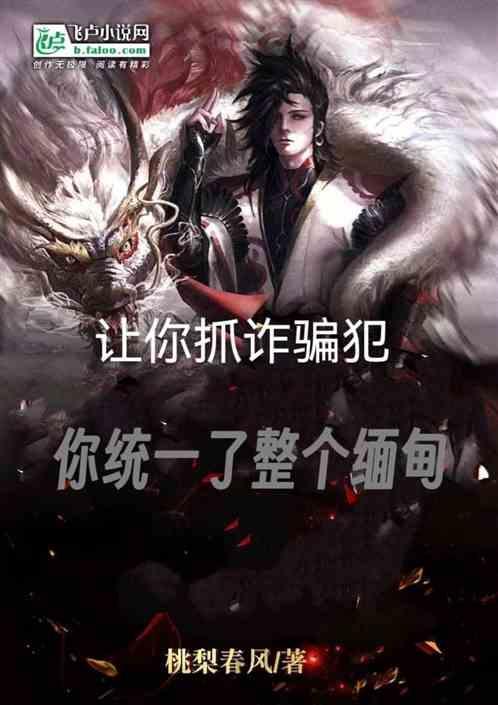 让你抓诈骗犯
