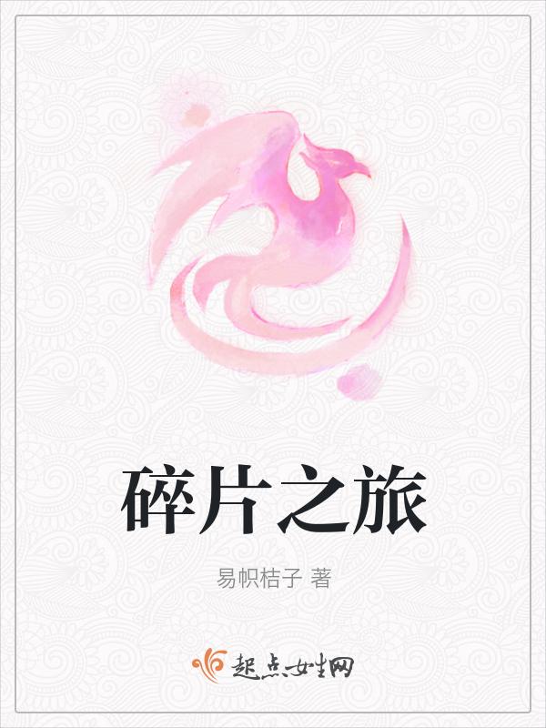 碎片之一是什么意思