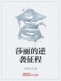 莎莉是哪部电视剧