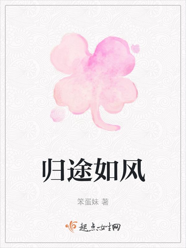 归途如风是什么意思啊