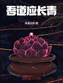 作者吾道长不孤