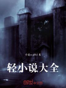 轻网