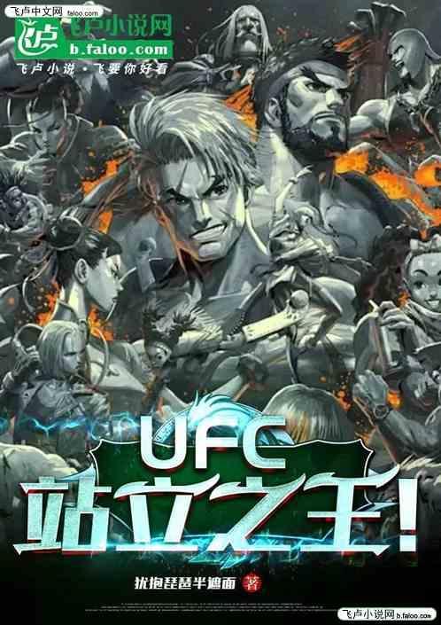 ufc站立技术