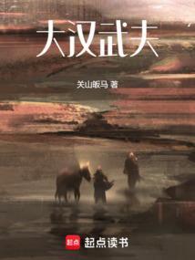 连续剧汉武大帝28集