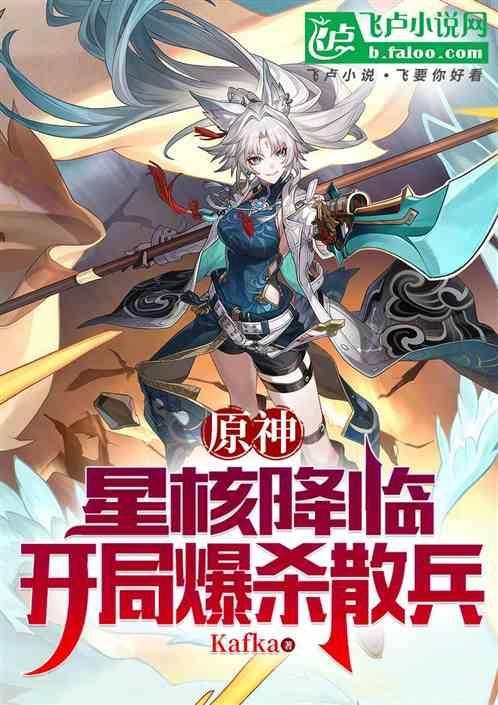 原神四星核爆流