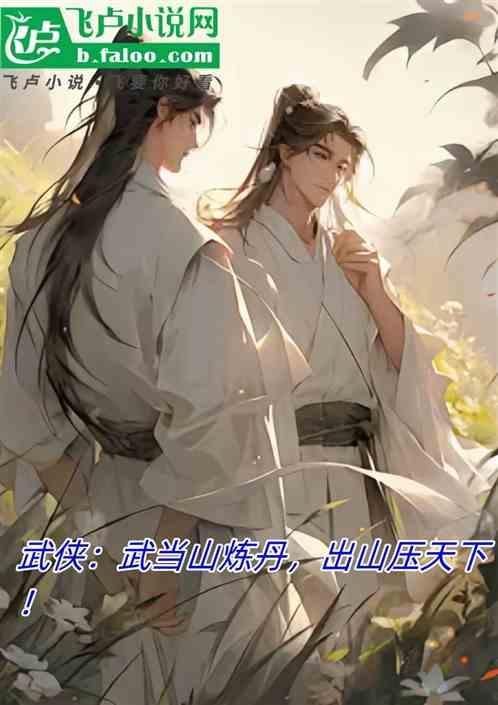 武当山武功秘籍