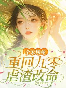 重生九零媳妇会挣钱