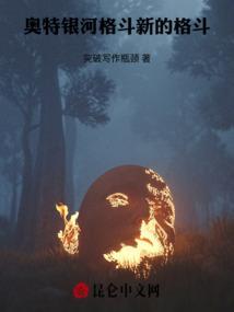 奥特银河格斗进化0