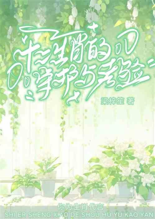 十二生肖守护神 百科