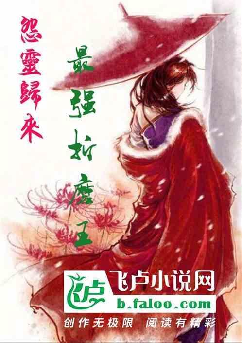 怨灵通关攻略