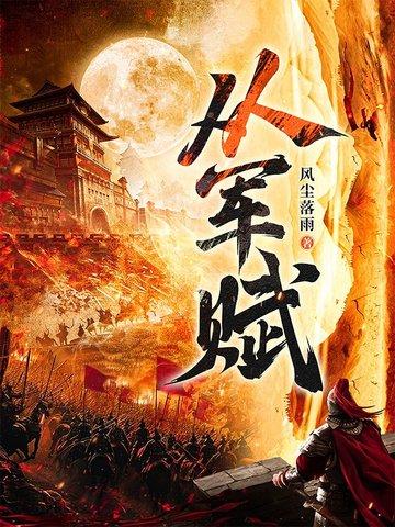 从军赋 第29章