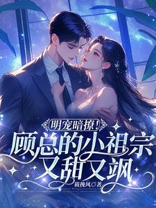 顾总的小祖宗惊飒全球