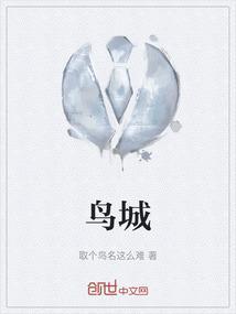 鸟城风云电视剧