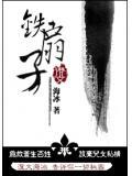 铁扇子武状元