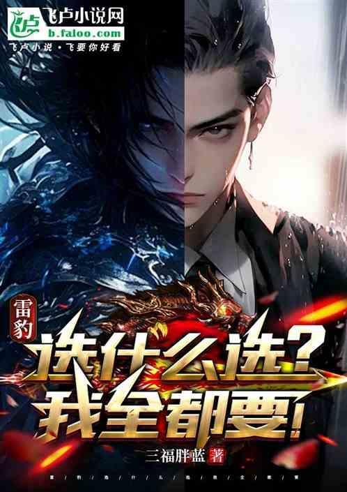 雷豹mbc2000工作图