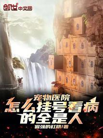 宠物医院就诊流程表