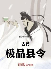 极品县令电视剧