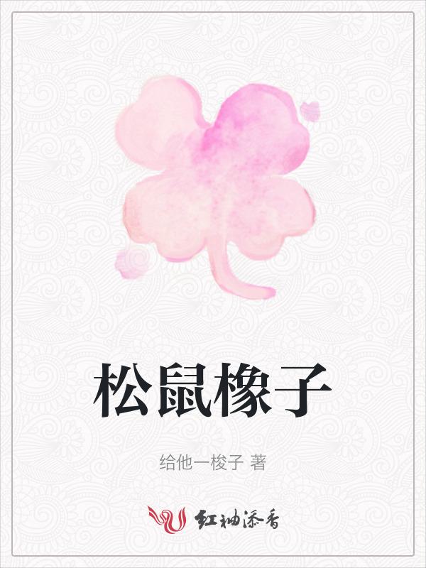 松鼠橡子福州哪买