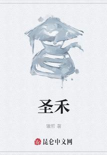 圣透灸多少钱一盒