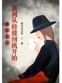 重生85暴利从修缝纫机开始TXT