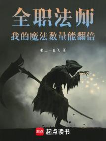 全职法师的全部魔法