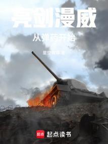 从亮剑开始战争