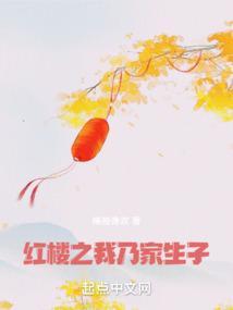 红楼之我爹是皇