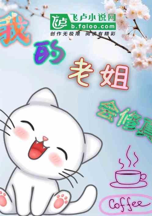 我的老姐作文500字