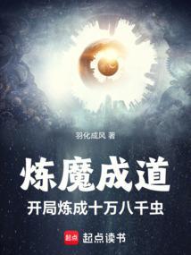 开局炼气期十万层叶枫