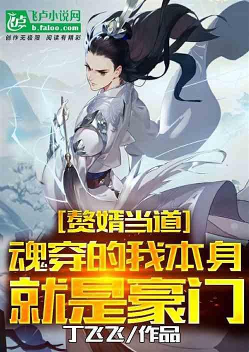 穿越我是赘婿