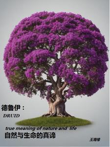 德鲁伊啥意思