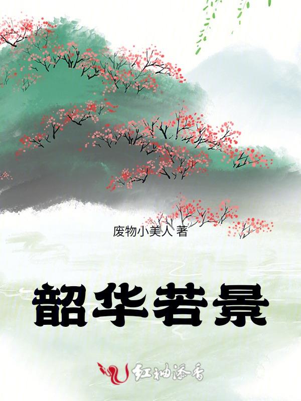 韶华若景电视剧免费观看