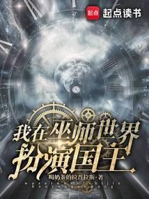 主角穿越到巫师世界